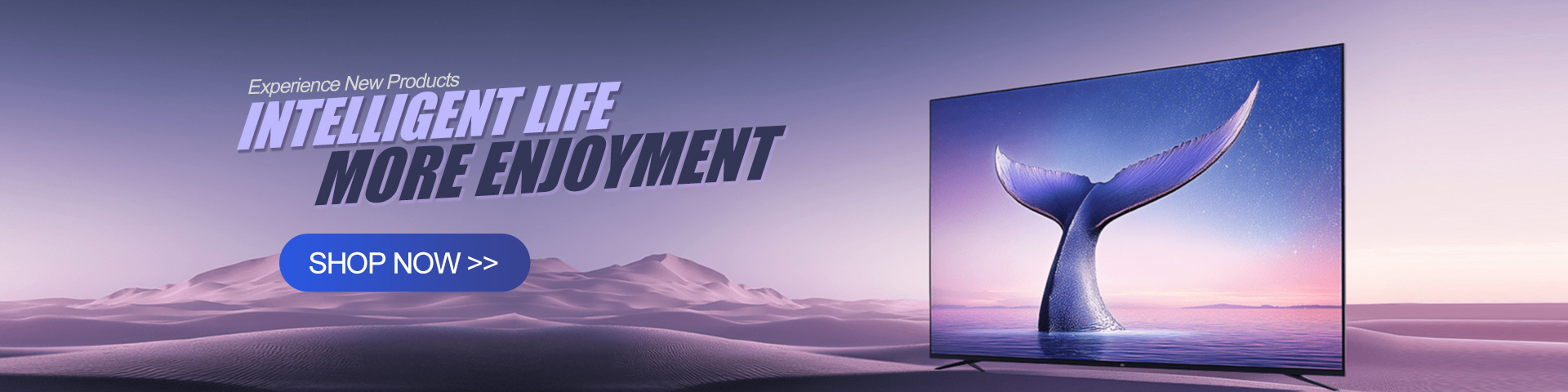 Computer Monitor